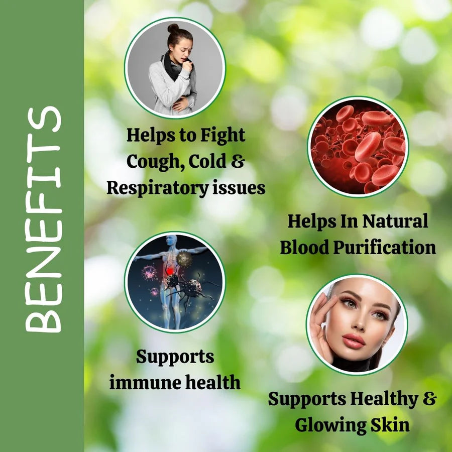 Turmeric Powder – 1 kg Pack