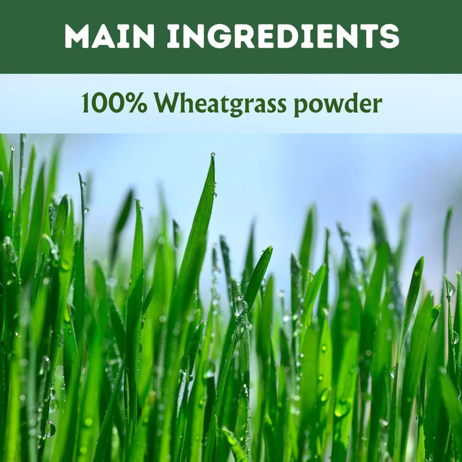 Organic Wheatgrass powder - 100 Gms | Standardized Ayurvedic Quality | Herbal Hills