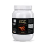 Ayurvedic Medicine for Energy and Stamina - Men's Health Supplement - 500 Shilajit Forte Capsules