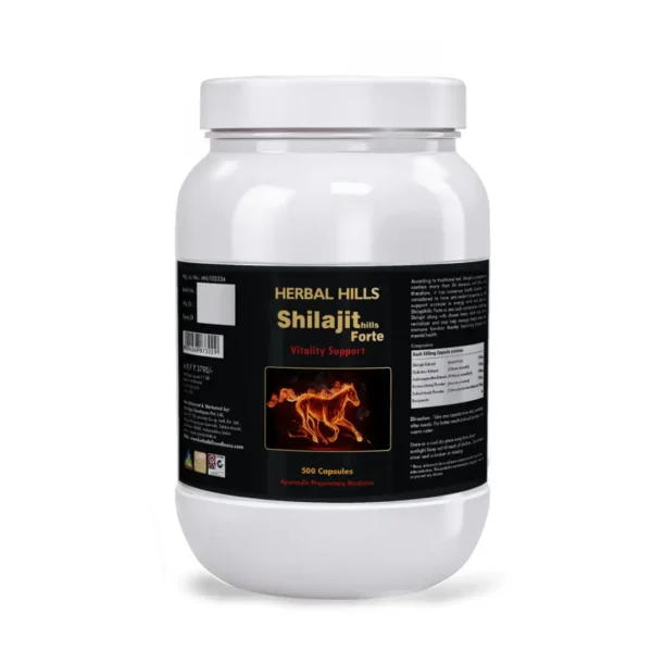 Ayurvedic Medicine for Energy and Stamina - Men's Health Supplement - 500 Shilajit Forte Capsules