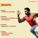 Men's Health Drink - Shilajit Syrup 500 ML - Image 2
