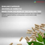 Boswahills 700 Capsule - Image 5