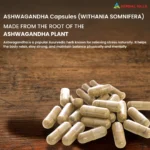 Ashwagandha Capsule | Ashwagandha Capsule 120 - Image 3