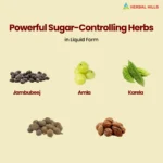 Diabohills – Ayurvedic Sugar Wellness Tablets – 60 Tablets - Image 3