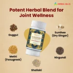 Arthrohills 60 Soft Capsules | Traditional Herbal Wellness Support - Image 4