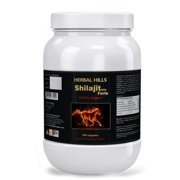 Ayurvedic Medicine for Energy and Stamina Shilajit capsule