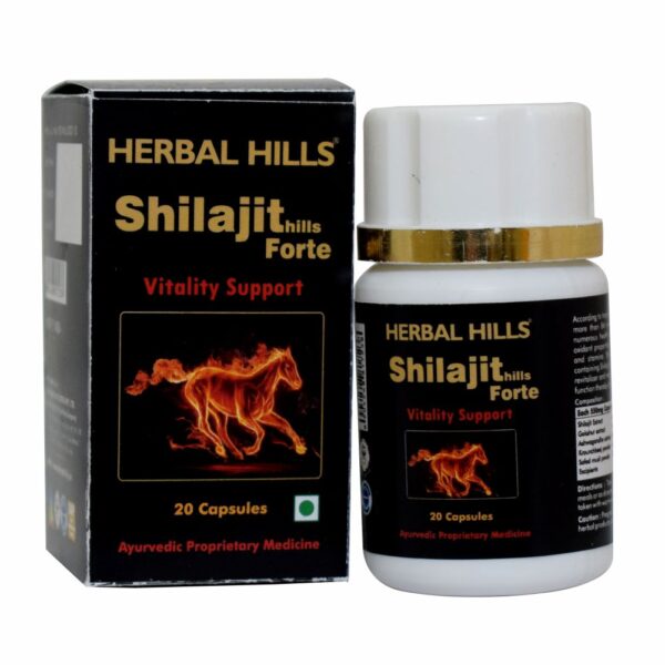 Ayurvedic Medicine for Energy and Stamina - Men's Health Supplement - 20 Shilajit Forte Capsules