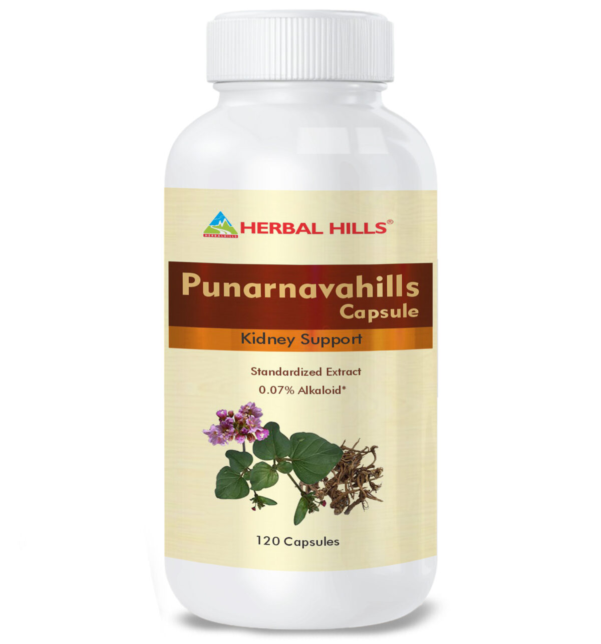 Punarnavahills 120 Capsule - Image 1