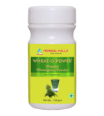 Wheatgrass powder 100 Gms - Organic Green Food Powder