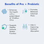 Pre+ Probiotic Capsule - Capsule 60 - Image 5