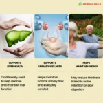 Punarnava 1kg Powder Promotes Urinary Tract Wellness, Ayurvedic Diuretic, Kidney care & Rejuvenation - Image 4