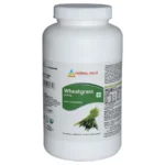 Super Greenhills 500 Tablets Value Pack - Super Green Food Formula