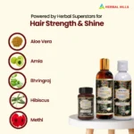 KeshoHills Forte Ayurvedic Hair Care Programme - Image 3