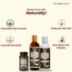 KeshoHills Forte Ayurvedic Hair Care Programme - Image 4
