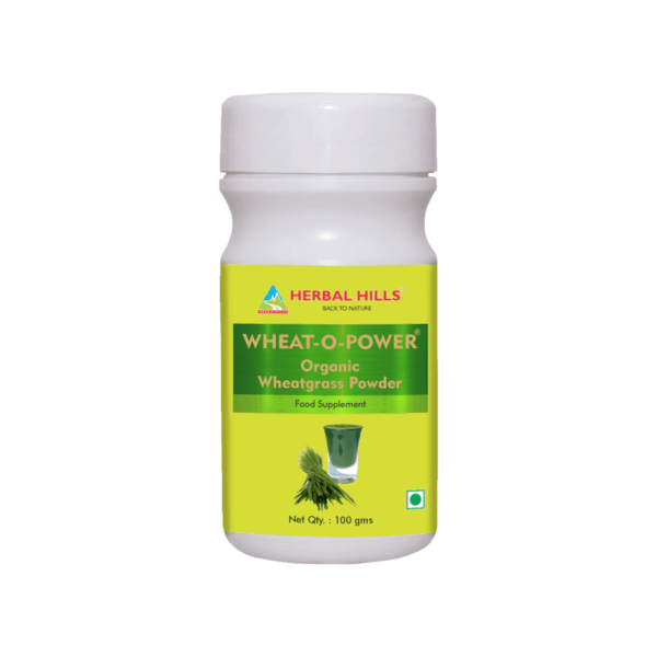 Wheatgrass powder 100 Gms - Organic Green Food Powder