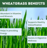 Herbal Hills Organic Wheatgrass Powder - 500 gms - Image 2